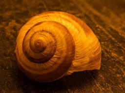 Fotowalk - Bodensdorf - Carinthia Austria